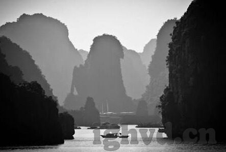 2021国产麻豆剧传媒仙踪林-沉醉于2021国产麻豆剧，体验影视艺术的流光溢彩