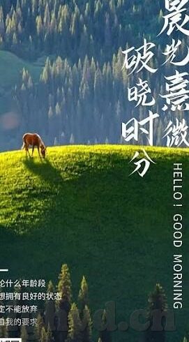 中文字幕mv在线观看-探索中文字幕MV的在线观看体验，一场视听盛宴的深度漫游